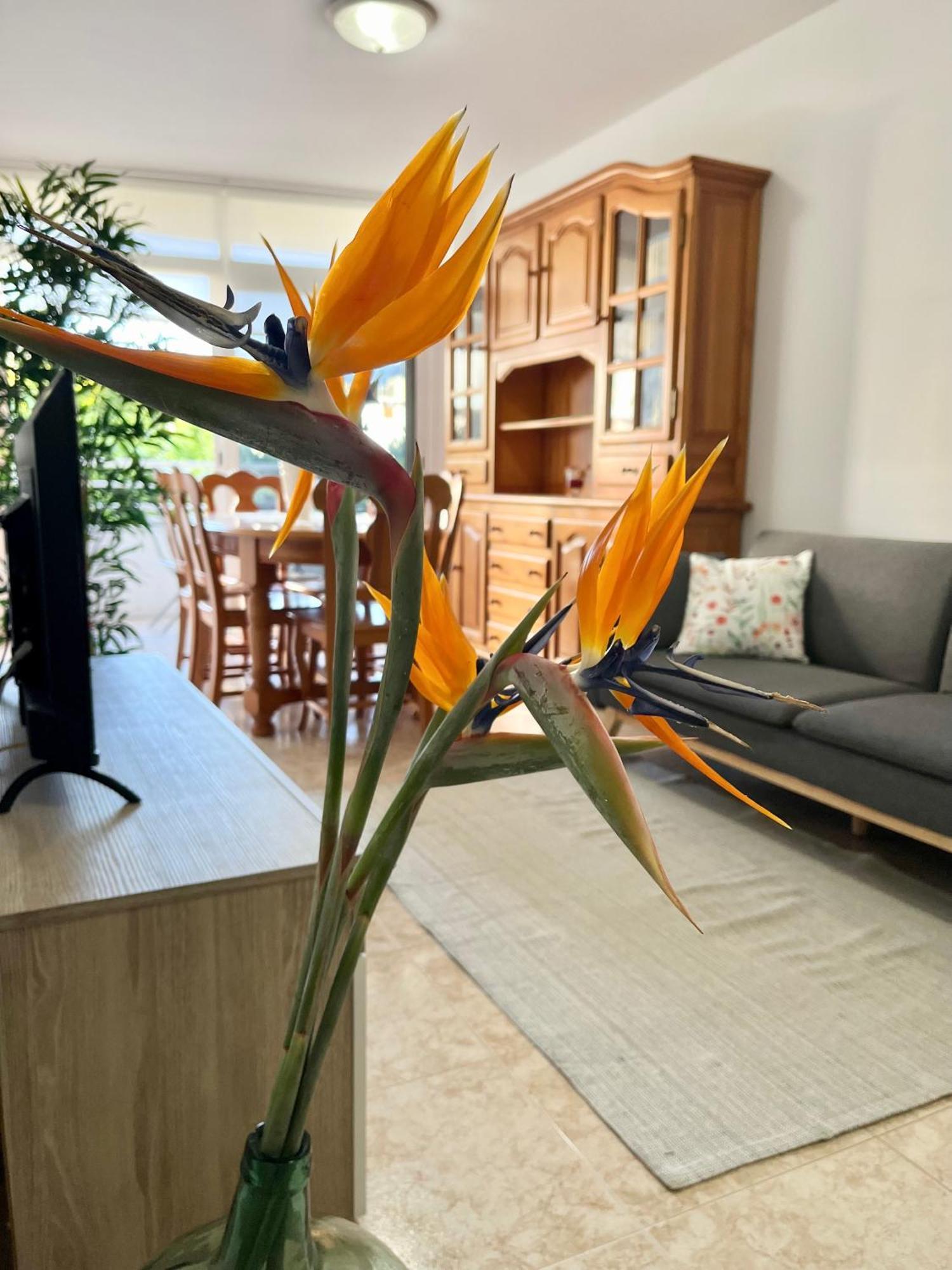 Piso Centrico Corazon De Aridane Apartment ลอสยานอส เด อารีดาเน ภายนอก รูปภาพ
